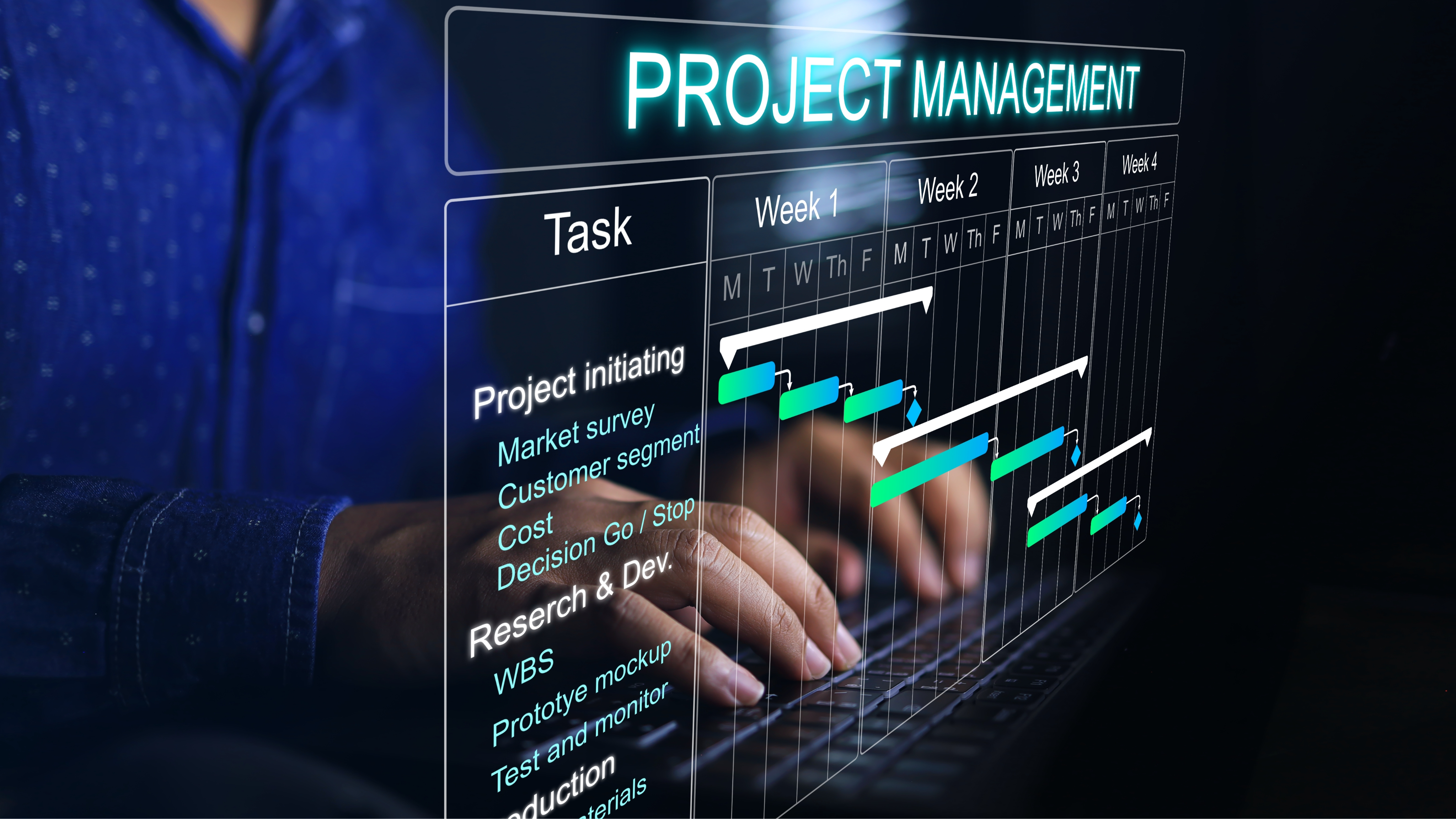 Project Management Interface